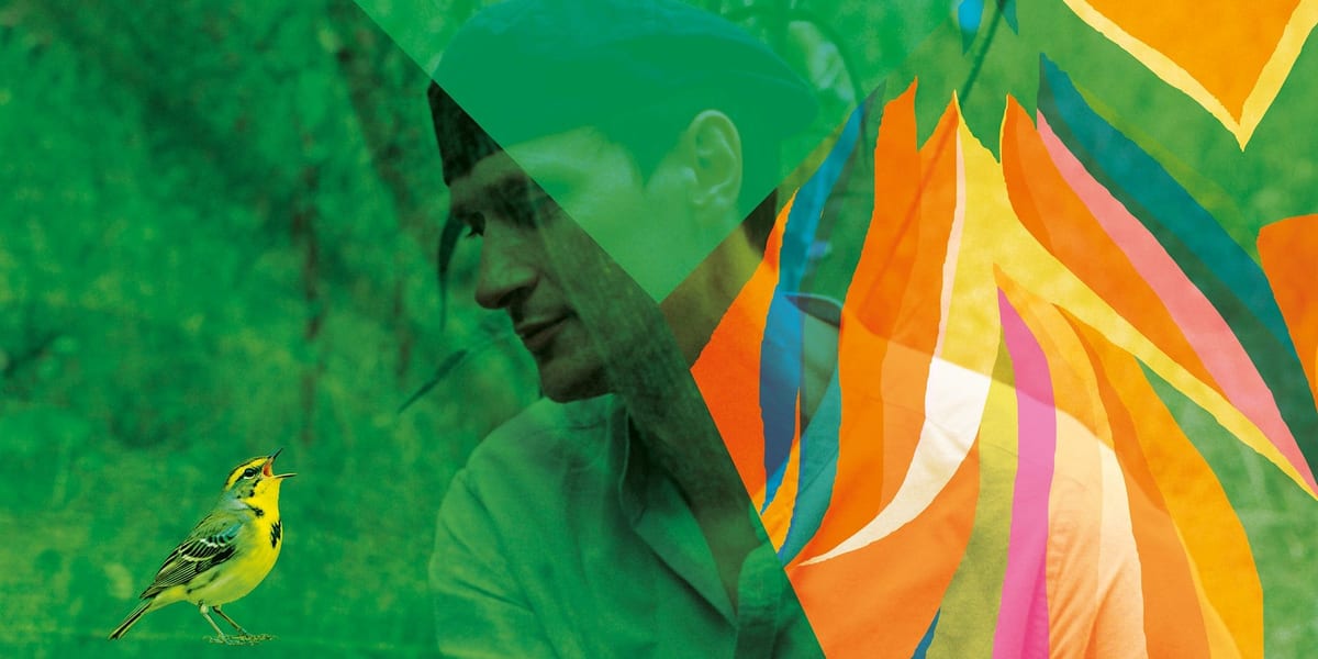 Concert artwork for Erland Cooper's Dawn Chorus & Vaughan Williams' The Lark Ascending