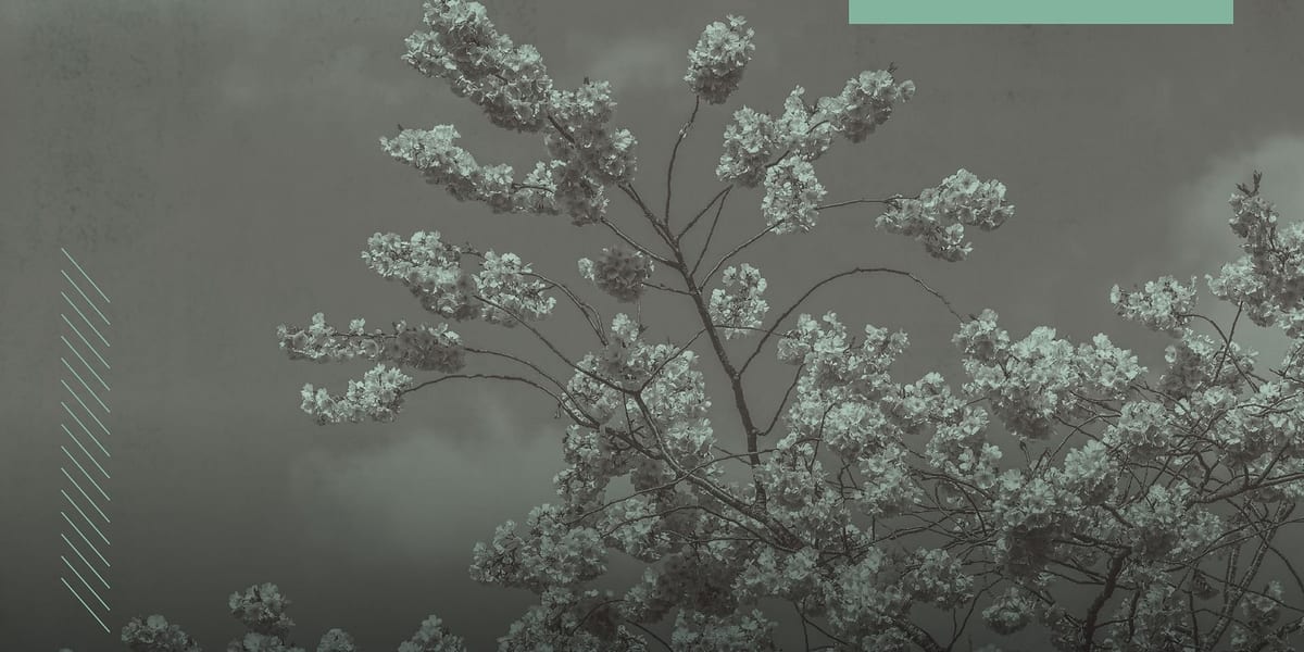 Concert artwork for Newbury Spring Festival