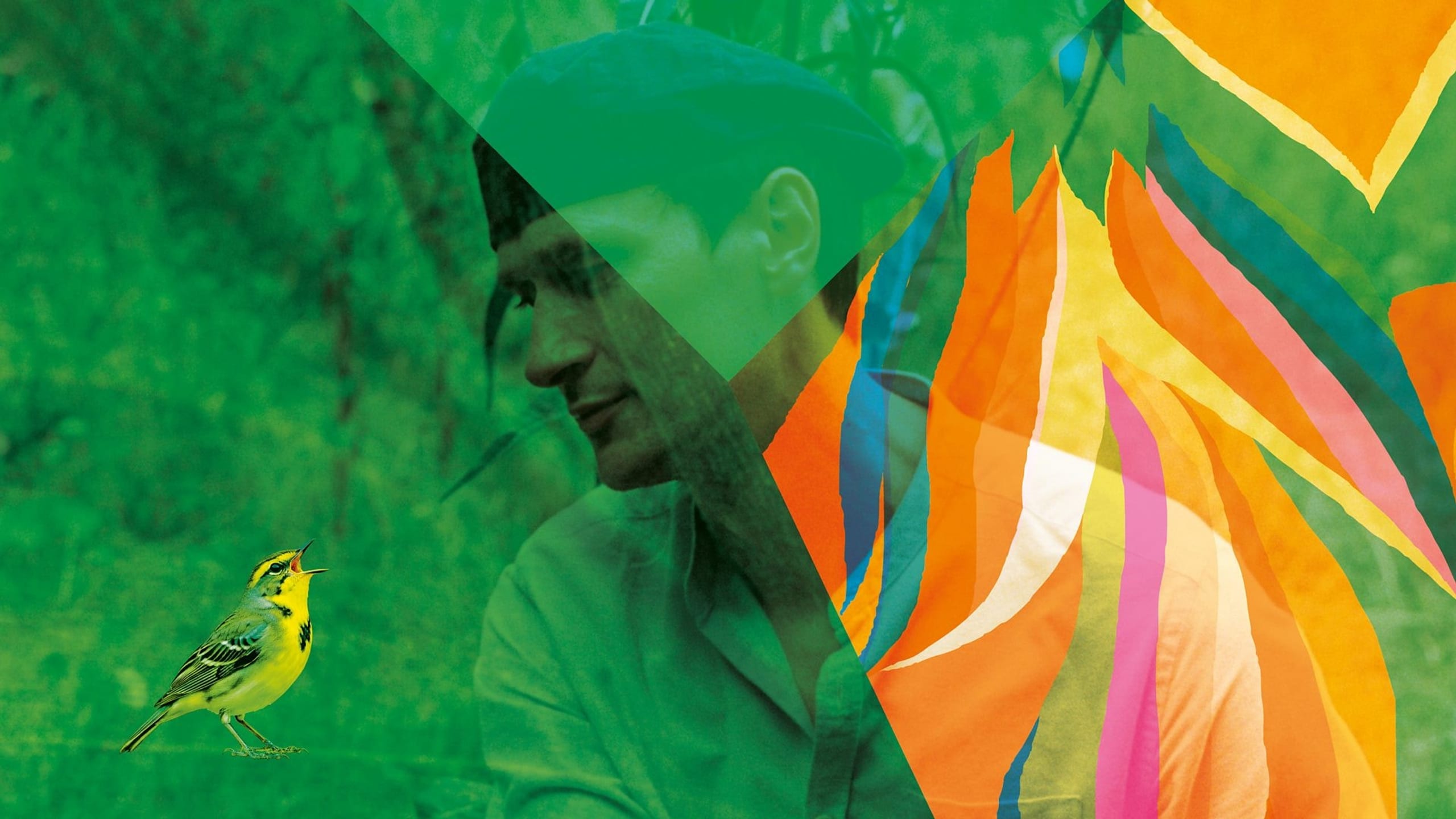Artwork for Erland Cooper's Dawn Chorus & Vaughan Williams' The Lark Ascending