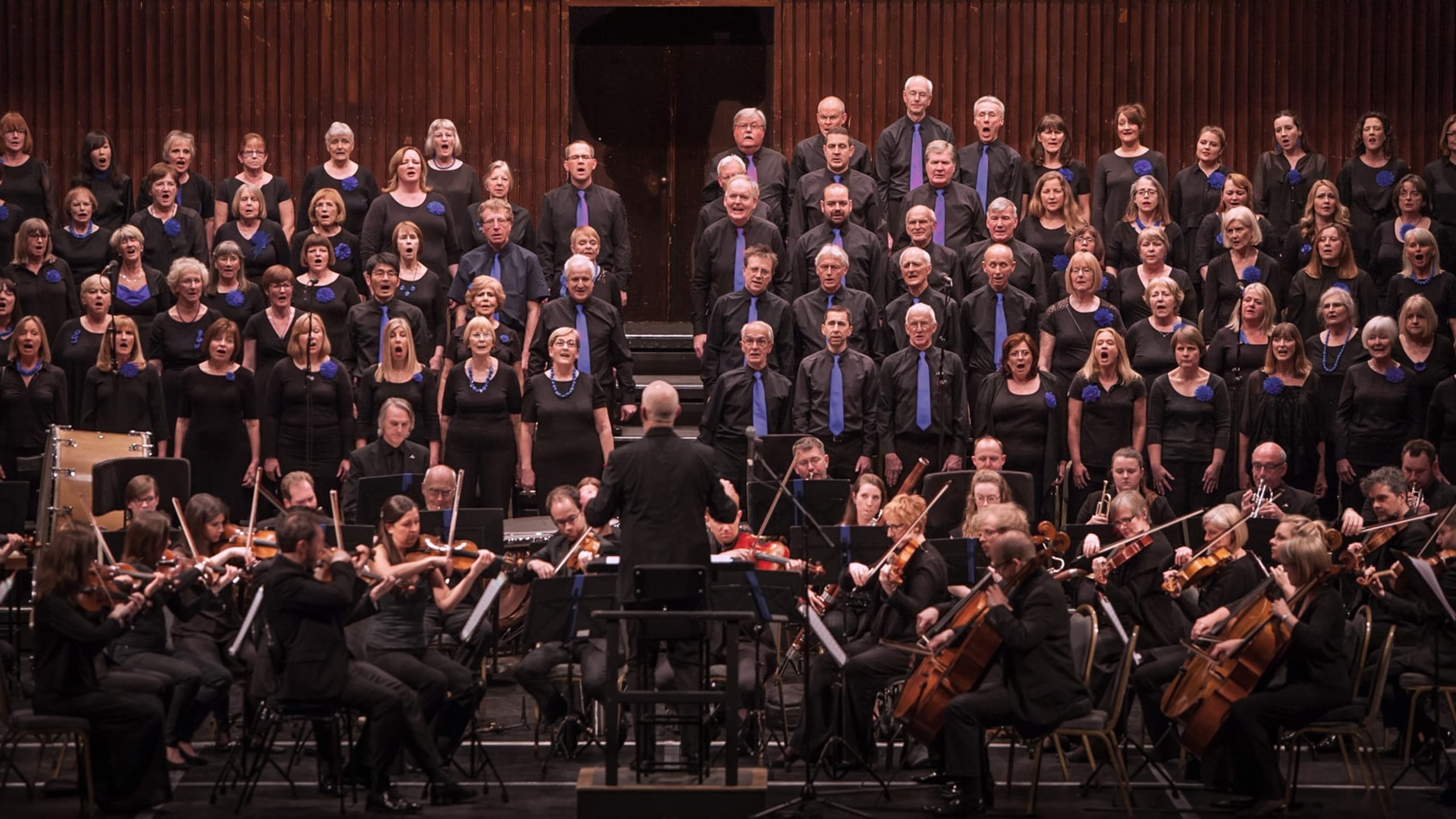Artwork for BSO Voices Autumn 2026