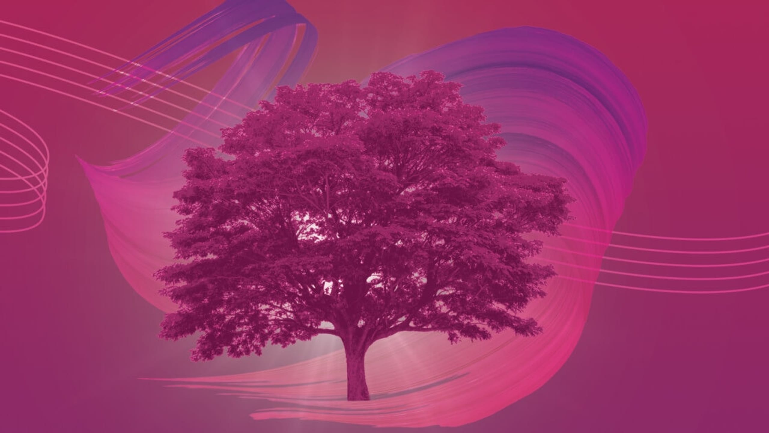 Artwork for Royal Philharmonic Orchestra at 80