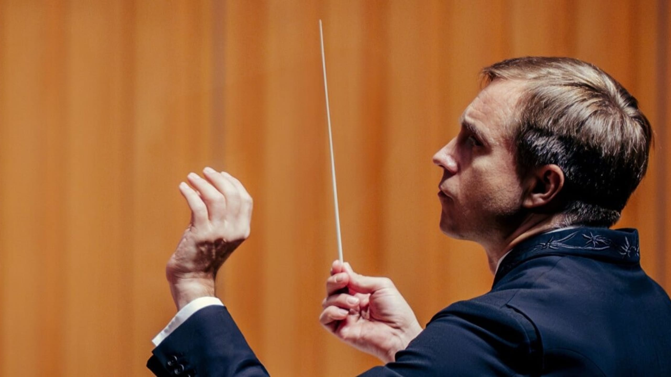 Artwork for Stravinsky The Firebird