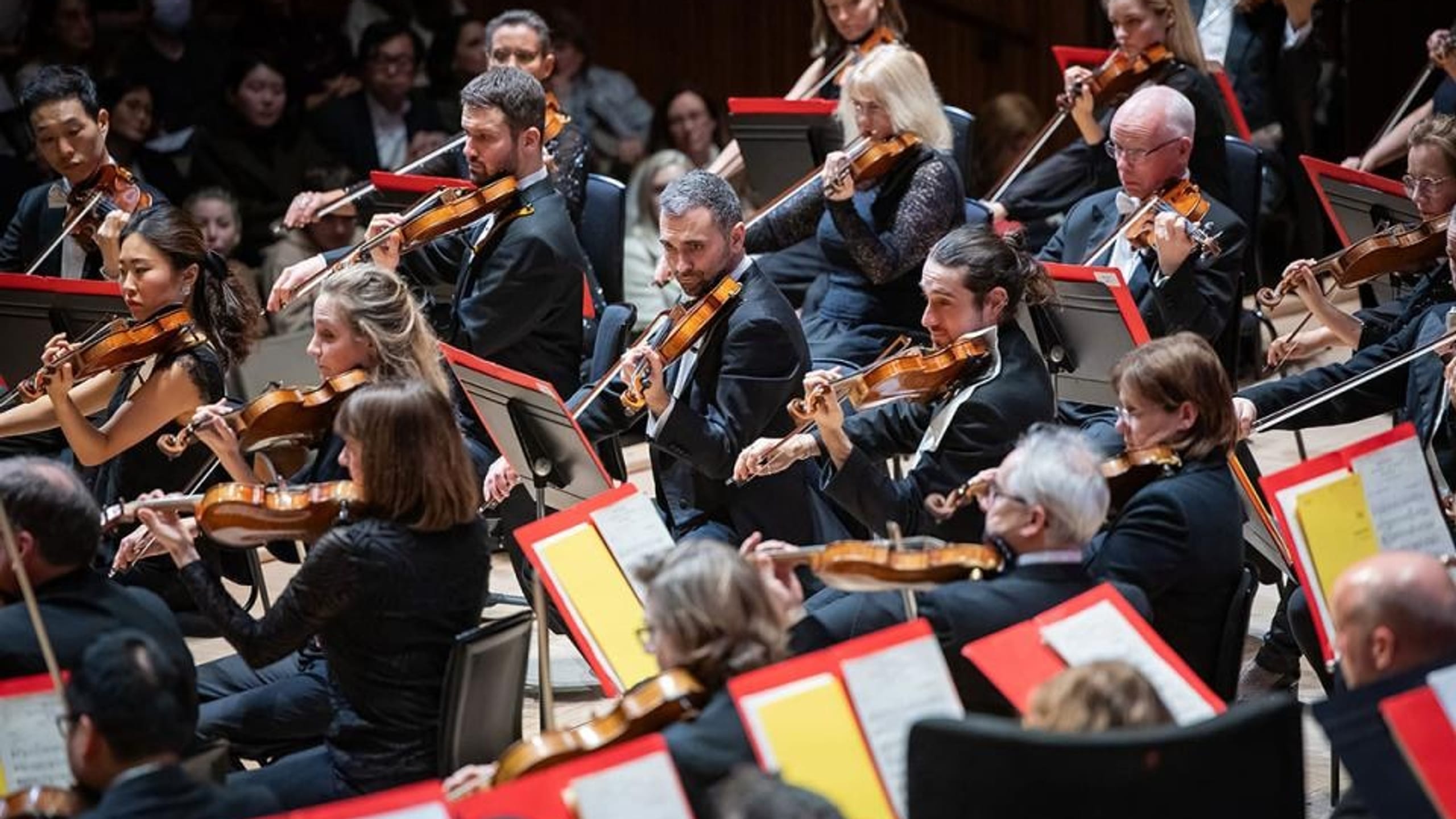 Artwork for Canterbury: Philharmonia at the Movies