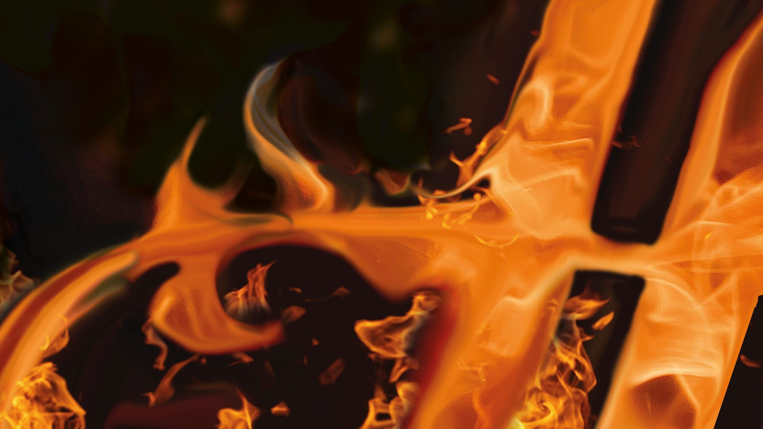 Artwork for Stravinsky’s The Firebird