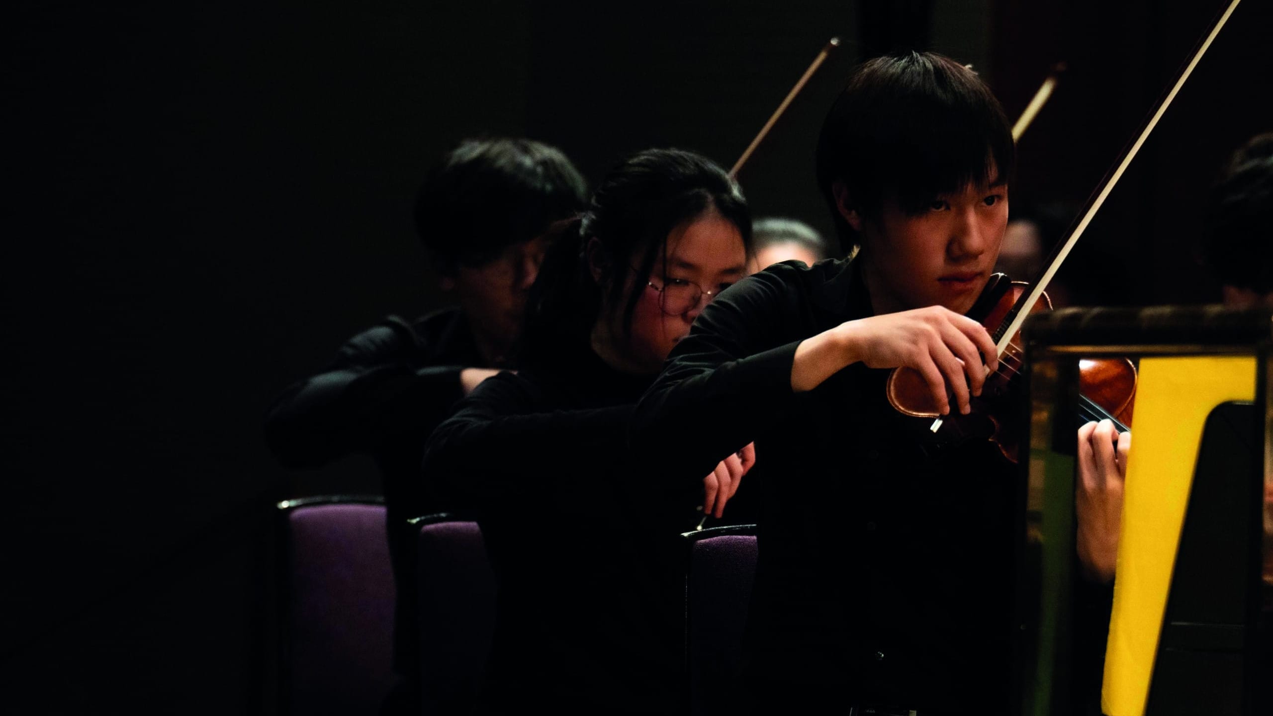 Artwork for Hallé Youth Orchestra