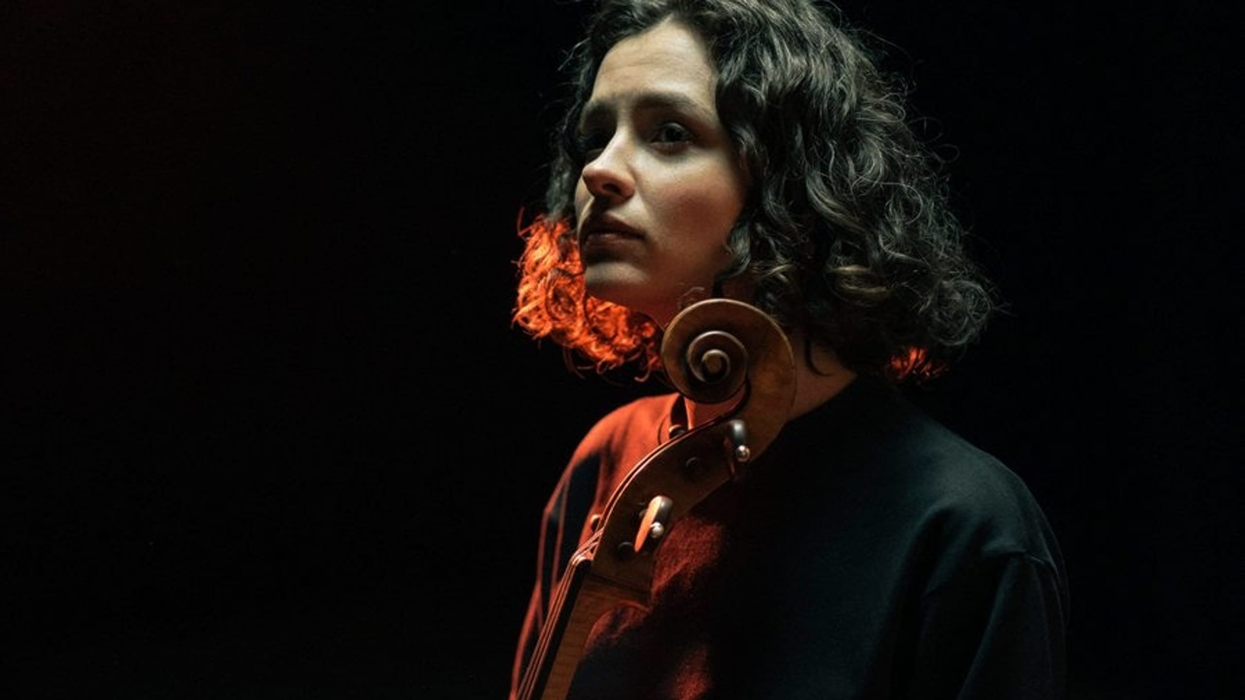 Artwork for Haydn's Cello Concerto