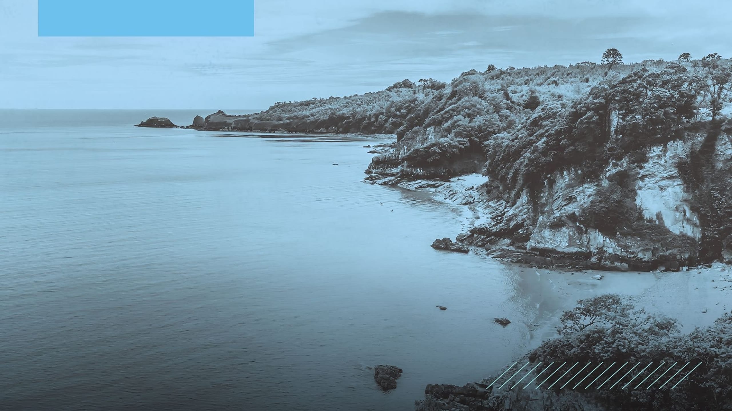 Artwork for Friday Night is Music Night: Music of the Coast