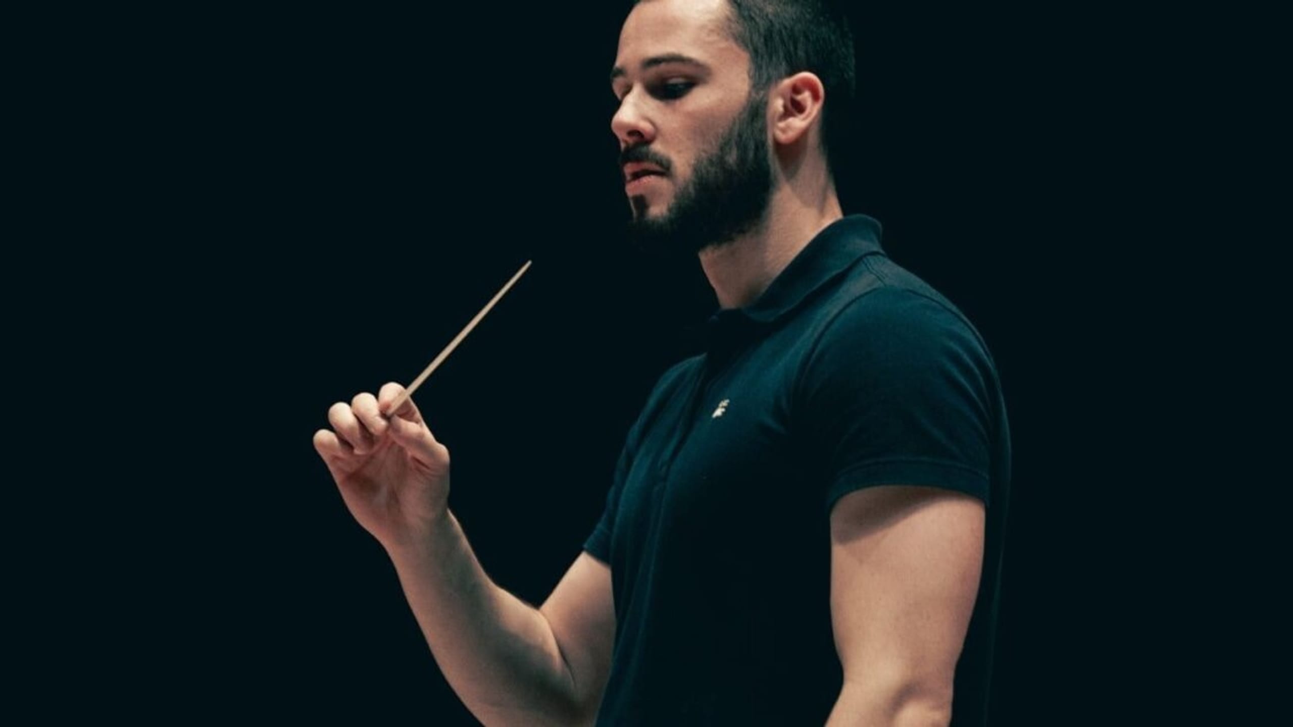 Artwork for Sibelius 5