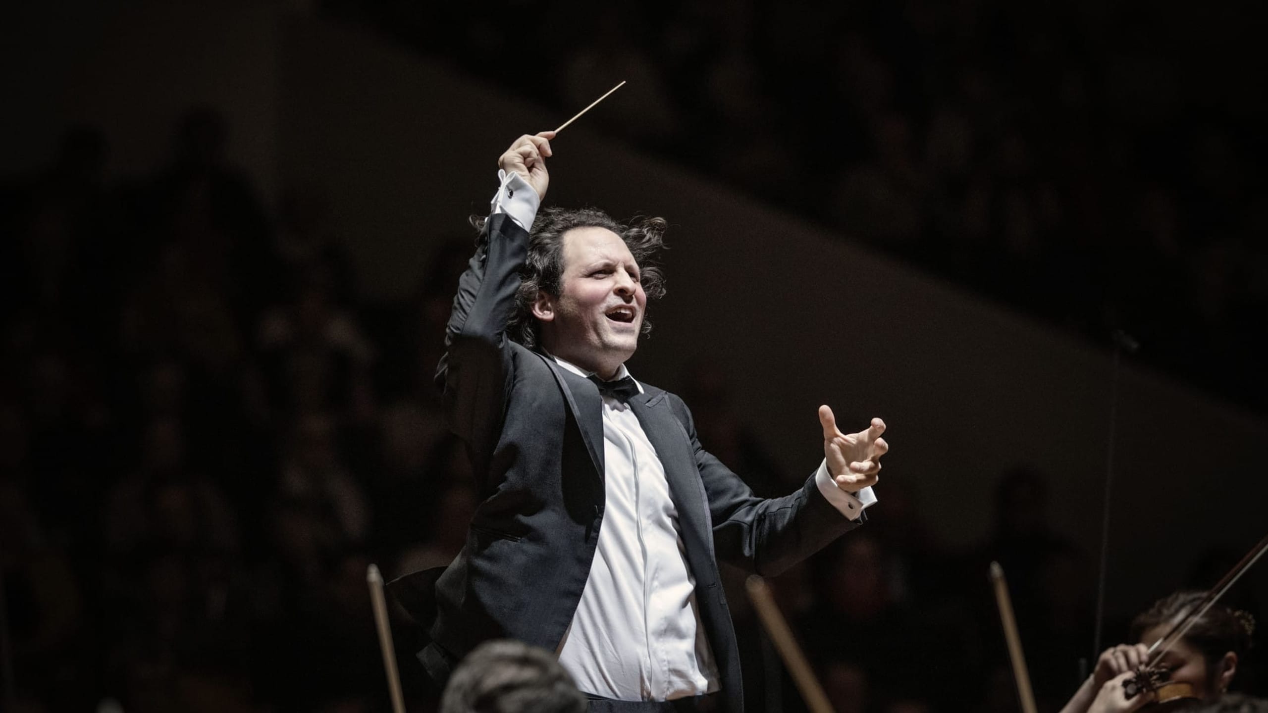 Artwork for Brahms’ Symphony No.2