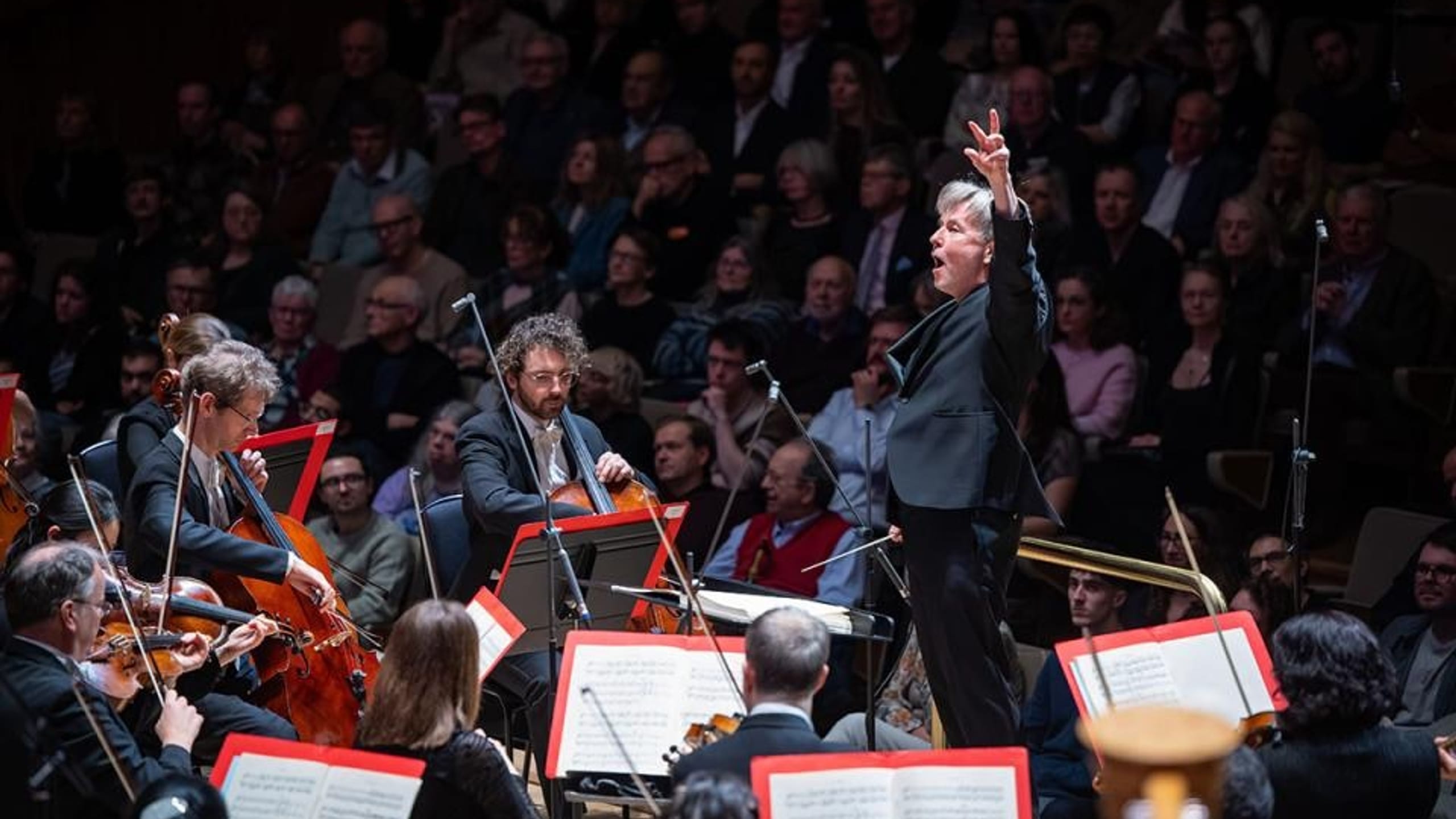 Artwork for Basingstoke: Salonen conducts Beethoven and Strauss