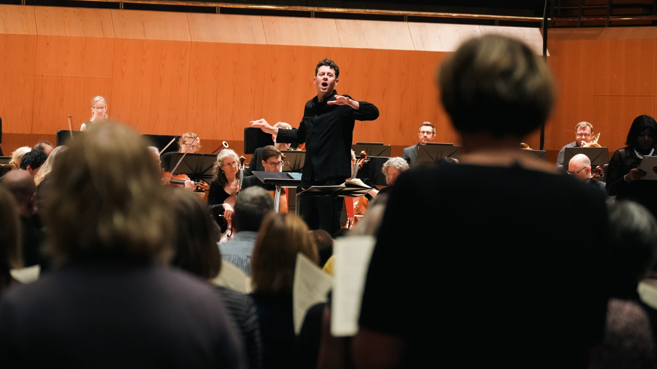 Artwork for Sing with the Hallé 2027: Carmina Burana – Participants