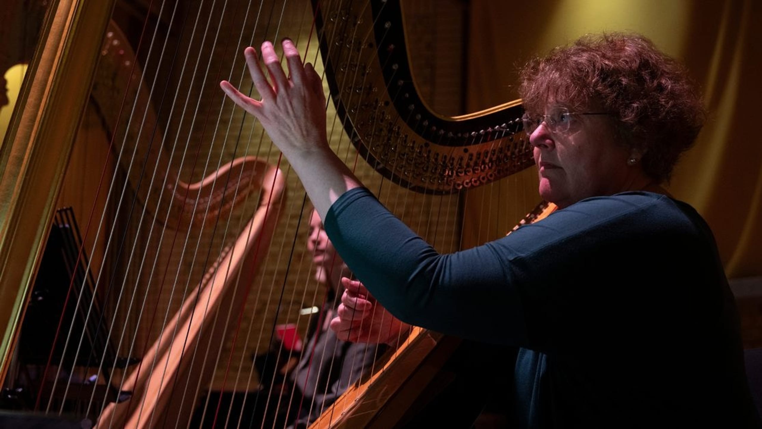 Artwork for Centre Stage: Two Harps