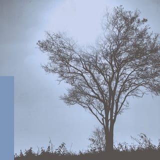 Concert artwork for Aberfan 60