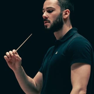 Concert artwork for Sibelius 5